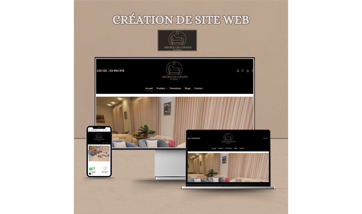 Création de Site web de Meubles